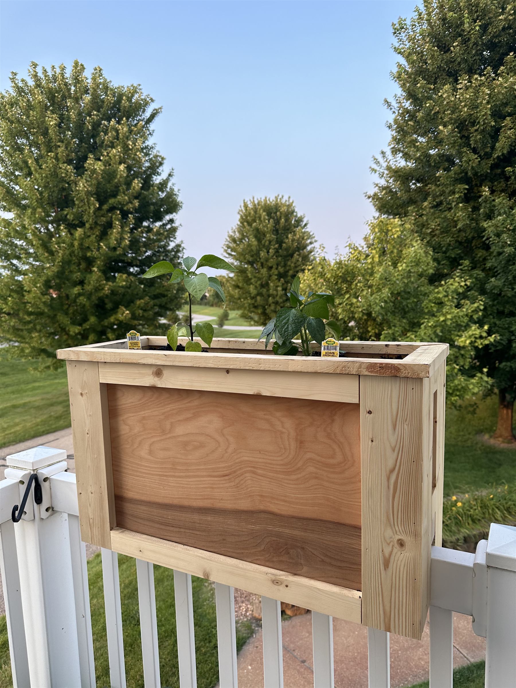 Cedar plant holder